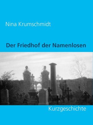 cover image of Der Friedhof der Namenlosen